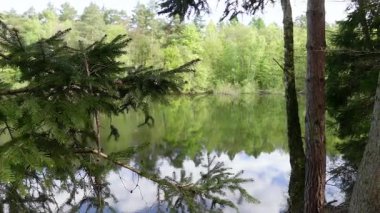 Ormanın ortasında Güzel Bahar Gölü