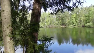 Ormanın ortasında Güzel Bahar Gölü