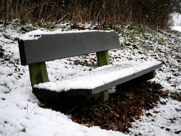 Karla kaplı ahşap bir bank doğada sakin bir kış manzarasıyla çevrili, sakin ve sakin bir atmosfer uyandıran yalnızlık ve mevsimsel güzellik.