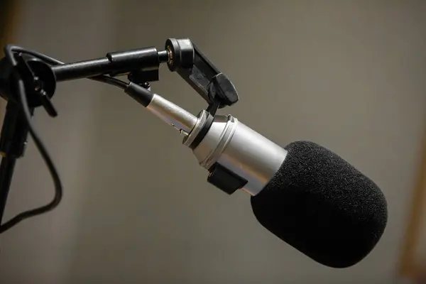 Profesyonel bir mikrofon, yüksek kaliteli kayıt için tasarlanmış bir ses stüdyosunda kurulur. Ortam sakin ve odaklı, müzik veya ses yakalamak için ideal..