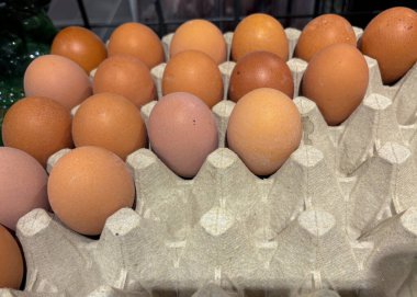 Farklı renklerde taze yumurtalar bir markette bir karton üzerinde düzgünce düzenlenir. Doğal gölgeler açık kremden koyu kahverengiye, sergilenen taze çiftlik ürünlerine kadar değişir..