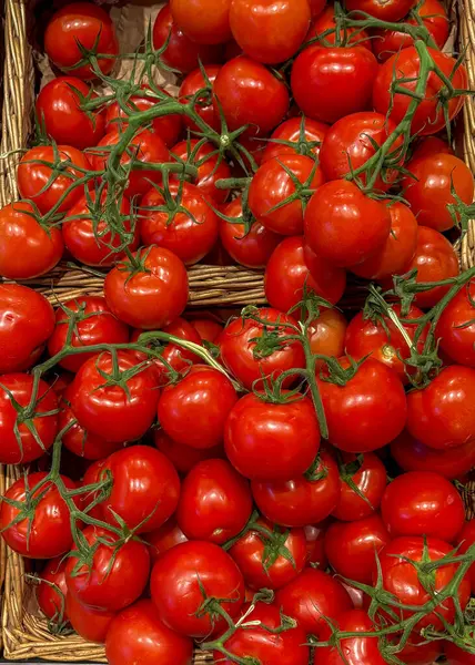 Parlak kırmızı domatesler hasır sepetlerle üst üste istiflenir. Olgun ve taze görünüşlerini sergilerler. Bu yerel çiftçi pazarı sonbaharın cömertliğinin özünü yakalıyor..