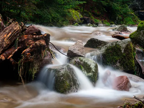 Sakin bir nehir, sık ağaçlar ve yosunlu taşlarla çevrili kayaların üzerinde çağlar. Güneş ışığı yaprakların arasından süzülüp barışçıl bir atmosfer yaratır..