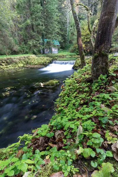 Bosna Nehri 'nin Kaynağı, Saraybosna-Ilidza. Etrafı yosun kaplı kayalarla çevrili bir ormanın içinden sakin bir dere akar. Sabahın erken saatleri bu doğal manzaranın sakin atmosferini güçlendiriyor..