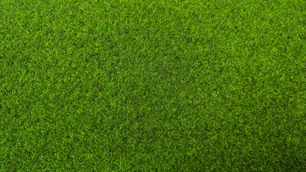 Bereketli yeşil çimenler, sıcak güneş ışığı altında parıldayan geniş bir çimenliği doldurur. Çimenler sağlıklı ve canlı görünüyor. Bu da dış uzayda düzenli bakım ve bakım yapıldığını gösteriyor..