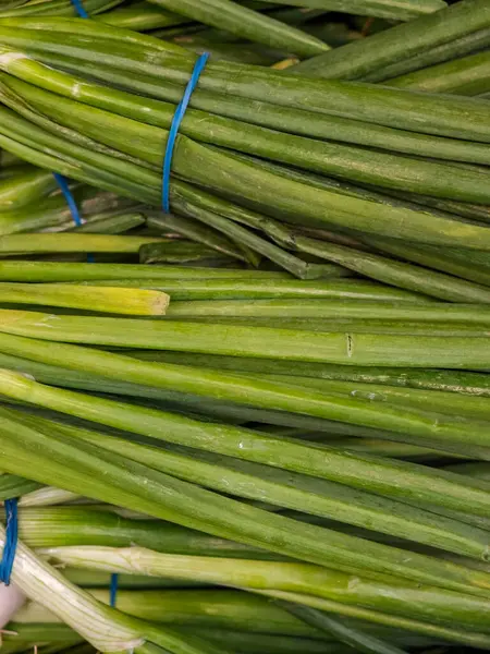Canlı yeşil soğanlar bir araya toplanır ve hareketli bir pazarda sergilenerek güneşli bir öğleden sonra taze ürünlerin özünü yakalar. Yerel satıcılar yeni ürünlerle müşterileri cezbediyor..
