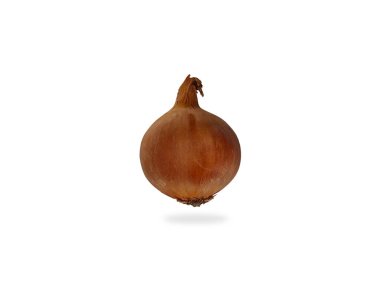 Tek bir taze soğan yemek ve yemek için beyaz bir zemin üzerine izole edilmiş.