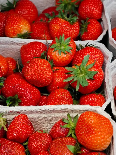 Tıknaz, olgun çilek dolu sepetler bir çiftçi pazarında sergileniyor. Parlak güneş ışığı altında ışıldayan kırmızı dutlar taze ürün arayan müşterileri cezbediyor..