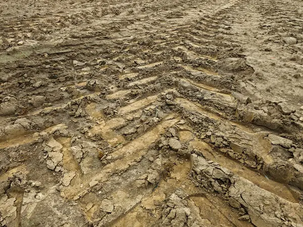 Derin lastik izleri kurumuş, tarımsal bir alanda çatlak toprak. Zemin, parlak öğle güneşinin altında son zamanlarda mekanik aktivite izleri gösteriyor..