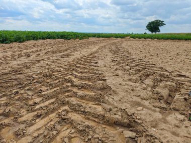 Lastik izleri kurumuş, tarladaki çatlak topraklar boyunca uzanıyor. Bereketli yeşil sarmaşıklar bulutlu bir gökyüzünün altında yetişir ve ekili ve doğal toprak arasındaki zıtlığı gözler önüne serer..