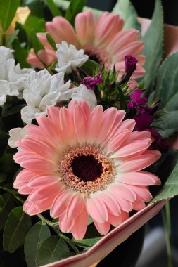 Canlı pembe gerbera papatyaları, büyüleyici bir bukette beyaz ve mor çiçeklerle tezat oluşturuyor. Yeşil yapraklara karşı yapılan düzenleme, her yere neşe katar..