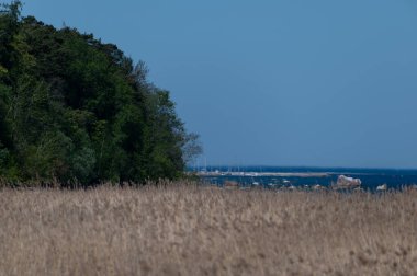 Estonya 'nın güzel manzarası.