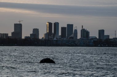 Estonya 'daki Tallinn şehrinin manzarası