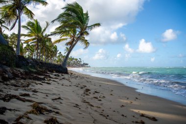 Güzel tropikal plaj. Doğa, seyahat