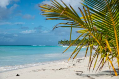 Palmiye ağaçları ve mavi gökyüzü ile tropik plajlar