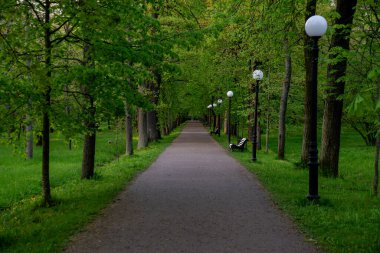 Yeşil çimenli park yolu