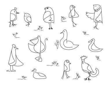 Kuşlar karalama seti. Komik el koleksiyonu, şeffaf arkaplanda izole edilmiş çeşitli şirin vahşi kuşlar çizdi. Beyaz arkaplanda vektör doğrusal çizim