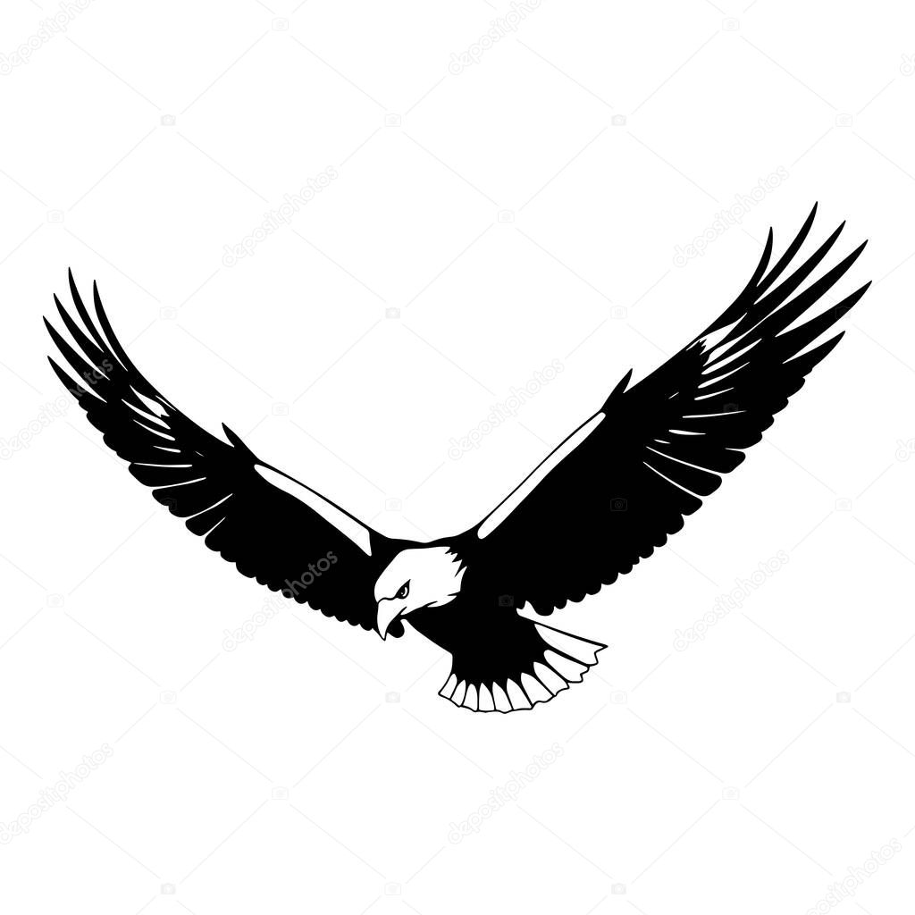 Powerful Black and White Silhouette of a Soaring Bald Eagle . A striking, bold black and white silhouette of a bald eagle in flight.