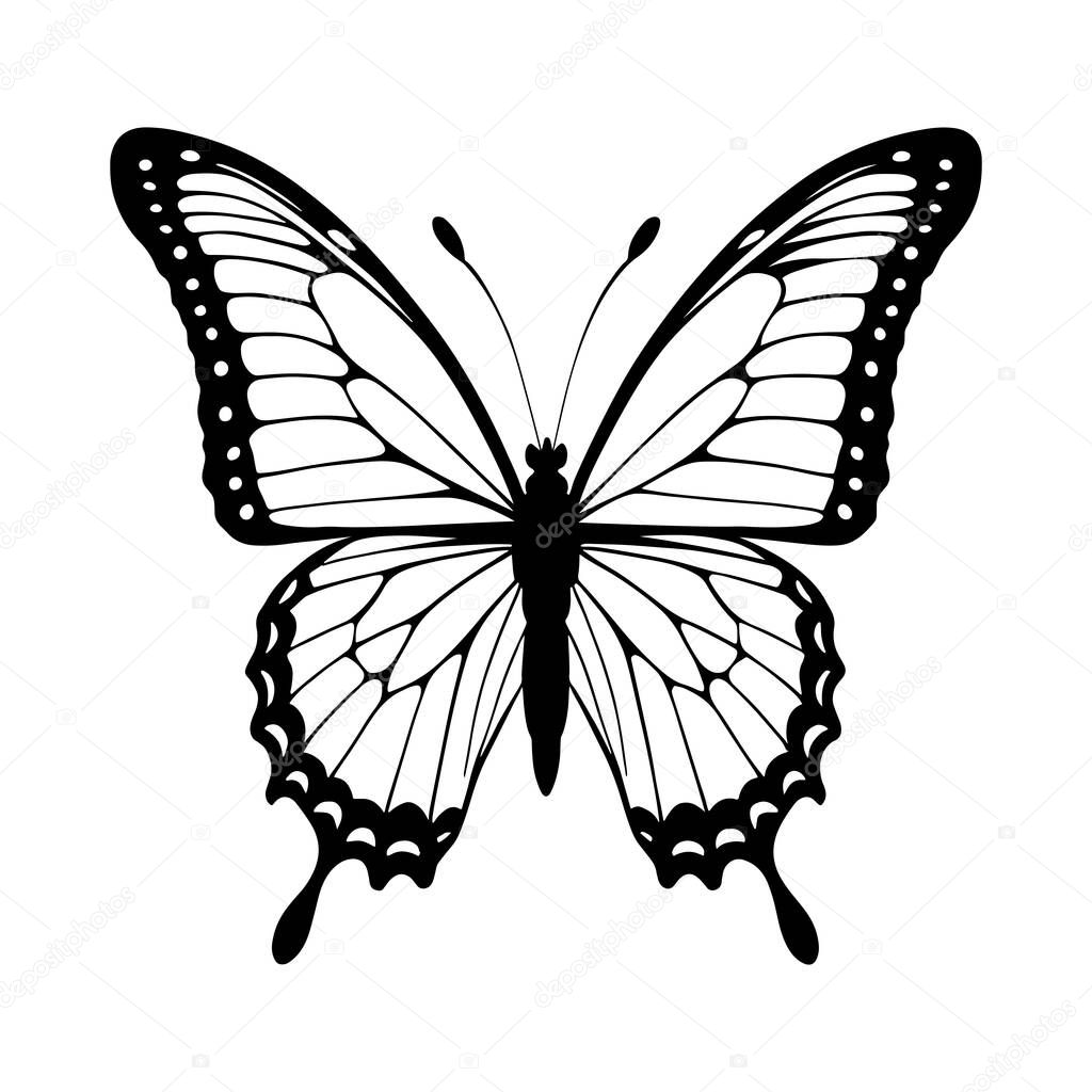 A sophisticated, symmetrical silhouette of a butterfly, perfect for showcasing beauty, elegance, or nature-inspired designs.