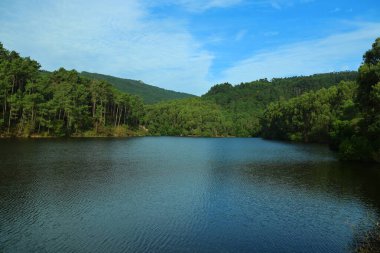 Nehir ve ormanlı güzel bir manzara.
