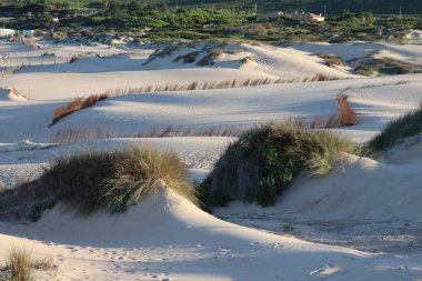 Güzel sahil ve deniz manzarası