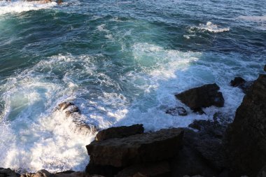 Deniz kıyısının güzel manzarası