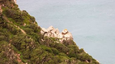Güzel deniz manzarası. doğa arkaplanı
