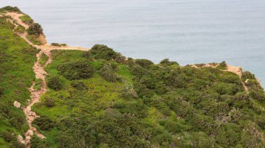Cape Town 'un kayalık kıyı şeridi.