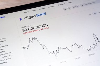 OSTRAVA, CZECHIA - 24 Eylül 2024: LCD ekranda Bitgert BRISE kripto para birimi grafiği