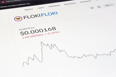 OSTRAVA, CZECHIA - 28 Eylül 2024: LCD ekranda Floki mim kripto para biriminin fiyat tablosu