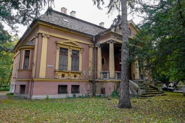 EGER, HUNGARY - OCTOBER 28, 2023: Ruin of Tudobeteg Gondozo Intezet (Pulmonary Care Institute) on Klapka Gyorgy Utca 14 street in Eger, Hungary clipart