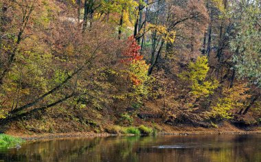 Nehir ve ağaçlar güzel bir sonbahar havasında