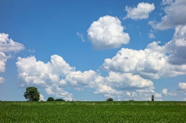 İlkbahar manzarası ağaçlarla ve mavi gökyüzü bulutlarla