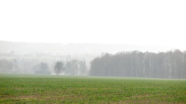 Çek Cumhuriyeti 'nin Ostrava bölgesinde bir sis bulutuyla kaplanmış ülke manzarası