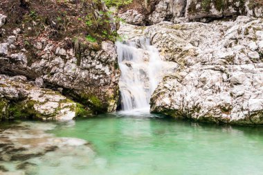 Slovenya 'da Bled ve Ukanc yakınlarındaki ormanın derinliklerinde küçük bir şelale