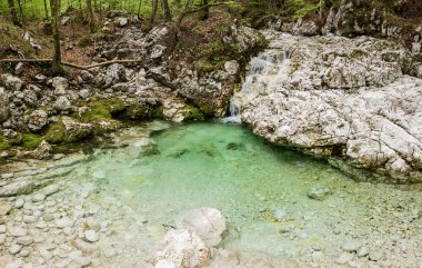 Slovenya 'nın derin ormanlarında küçük şelale