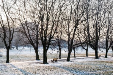 Park Komenskeho Kışın Ostrava 'da