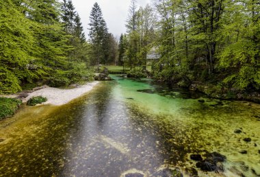 Bohinj Gölü, Slovenya ve AB yakınlarındaki bir nehirde saf su
