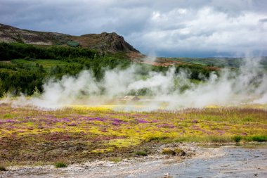 Meşhur Geysir yakınlarında yaz İzlanda tepesi manzarası