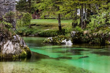 Slovenya 'da temiz suyla Sava Bohinjka nehri