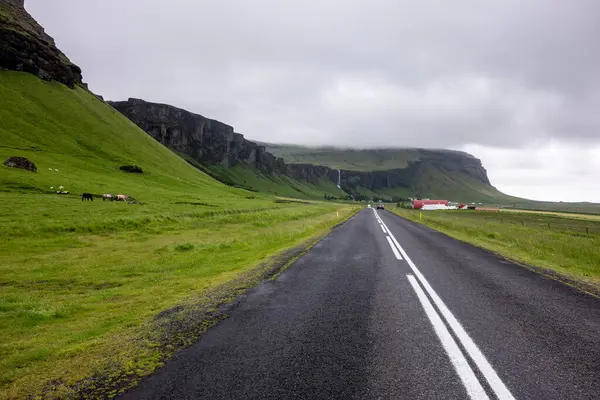 İzlanda 'da güçlü perspektifli 1. Yol