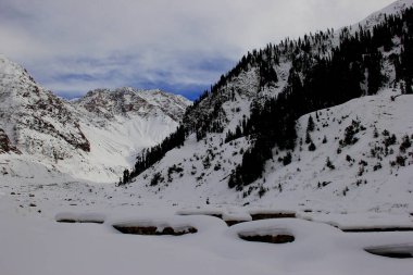 Taze kardan sonra bir vadi