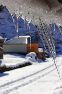 A vertical shot of hanging icicles. clipart