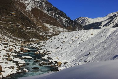 Donmuş bir vadinin buzul nehri