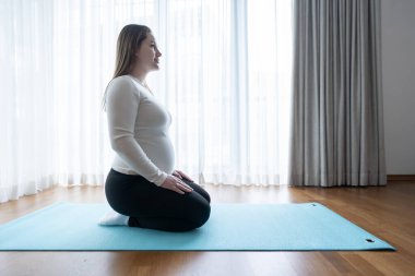 Z Gen hamile kadın evde yoga minderinde oturuyor. Egzersiz, yoga ve evde spor, hamilelik konsepti. Doğum öncesi egzersizi. Yüksek kalite fotoğraf