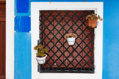 Demir ızgaralı pencere ve parlak mavi bir duvara çiçek saksıları asılmış. Akdeniz mimarisi, kırsal tasarım ve güneşli iklimde renkli dış dekorasyon kavramı. Yüksek kalite fotoğraf