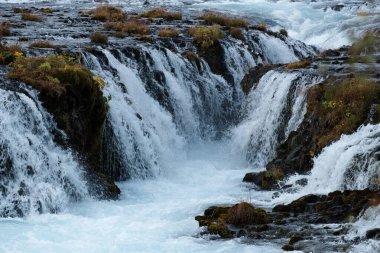 Güçlü şelale İzlanda 'da yosun ve sonbahar otlarıyla kaplı kayalık çıkıntıların arasından çağlayarak geçiyor. Saflık, hareket ve ham İzlanda doğası kavramı. Yüksek kalite fotoğraf