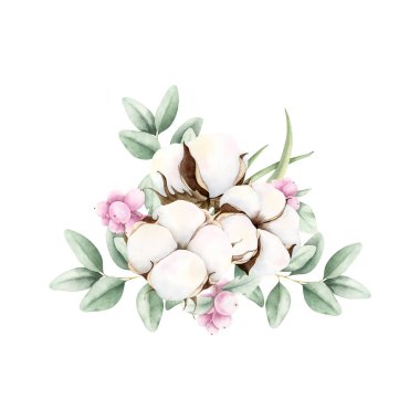 Hand drawn soft elegant cotton, eucalyptus and pink snowberries bouquet. Watercolor botanical illustration isolated on white background. Drawing for floral greeting cards, invitation, wedding designs. clipart