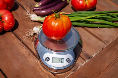 Canlı bir organik sebze bahçesinden taze toplanmış domatesler dışarıda dijital bir mutfak terazisinde tartılıyor. Arka bahçeden toplanan ev yemeği.. 