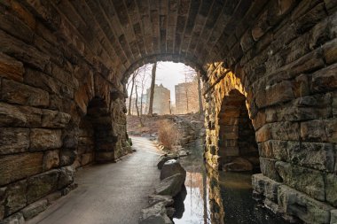 Soğuk bir şubat gününde Central Park, yıpranmış taş kemerlerin altından geçiyor. Güneş sakin suyun üzerine sıcak bir parıltı saçarak doğanın ortasında barışçıl bir atmosfer yaratır..